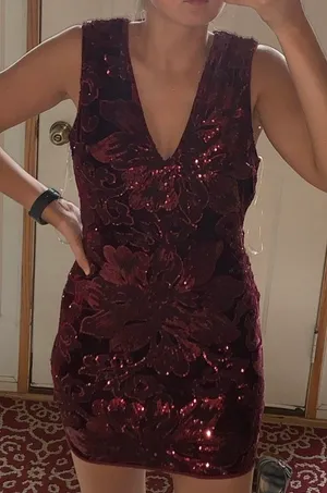 Windsor Sequin Dress thumbnail 1