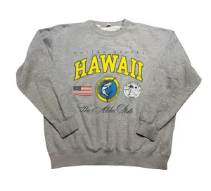 🌺🩶 Brandy Melville John Galt‎ Hawaii Aloha State Sweatshirt One Size ✨🌴 thumbnail 1