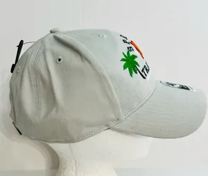 47 Brand Detroit Tigers 2019 Spring Training Cap thumbnail 3