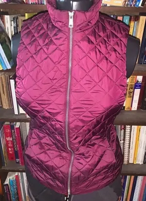 Banana Republic quilted puffer XS gorpcore vest thumbnail 1
