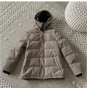 Aritzia powder parka jacket coat  thumbnail 6