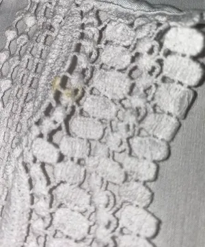 NEW Lace dress White Size XS thumbnail 8