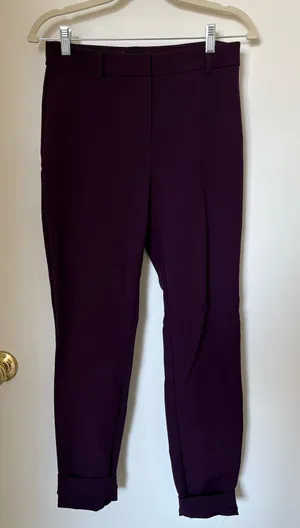 Purple Express Work Pants thumbnail 1