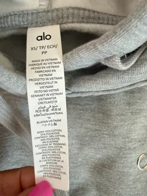 NWT Alo Accolade gray hoodie relaxed fit size xs unisex thumbnail 8