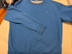 Champion Crewneck Sweatshirt thumbnail 1