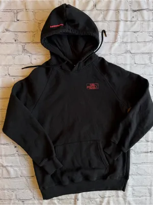 The North Face Womens Medium Hoodie Sweatshirt Rainbow Logo Spell Out EUC Pride thumbnail 1