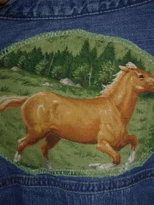 Levis Signature Jeans L Horse Equestrian Scenery Western Shirt Denim Top thumbnail 5