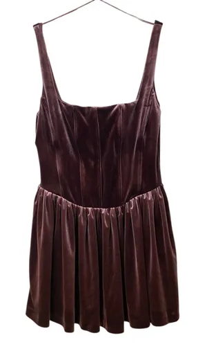 NWT Zara Bloggers Favorite Velvet Corset Mini Dress Maroon Size Medium thumbnail 1