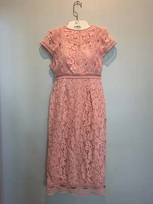 Baltic Born Nessa Lace Blush Midi Dress size Small New With Tags thumbnail 3