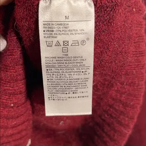 Banana Republic Womens Cozy V Neck Sweater Alpaca Red Medium thumbnail 4