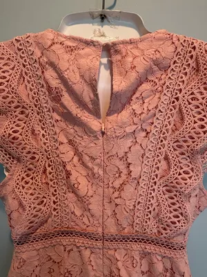 Baltic Born Nessa Lace Blush Midi Dress size Small New With Tags thumbnail 8