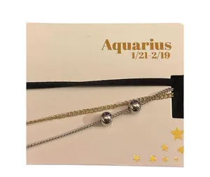 Paparazzi Aquarius Zodiac Celestial Charm Necklace Set Astrology Jewelry Boho Layered R-49 thumbnail 4