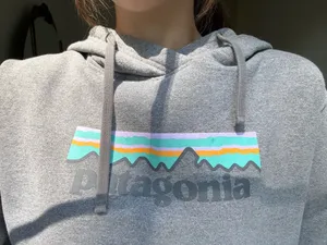 Patagonia Women’s Gray Hoodie thumbnail 3