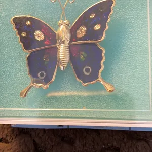FINAL MARKDOWN butterfly pin thumbnail 2