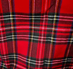 Brandy Melville Plaid Mini skirt thumbnail 1