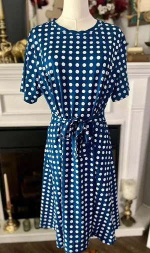 Blue and White Polka Dot Short Sleeve Tie Waist Midi Dress Size Large Women’s thumbnail 1