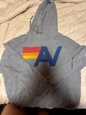 Aviator Nation Hoodie Grey thumbnail 2