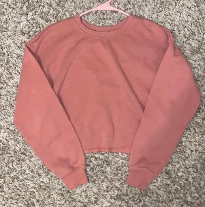 Aerie Pink Sweatshirt Crop Top thumbnail 1