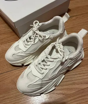 Steve Madden Sneaker thumbnail 1
