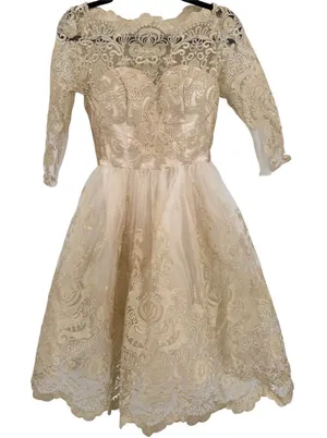 Sheer Gold Lace Overlay Formal Dress Sweetheart Neckline Victorian Regency Sz 2 thumbnail 1