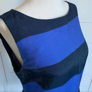 Banana Republic‎ Womens Blue Navy Striped Peplum Sleeveless Top Size 6 NWT thumbnail 9