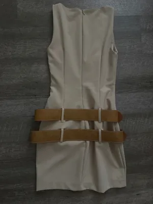 adorable Zara tan belted dress thumbnail 4