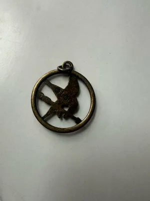Hunger Games Medallion circa 2010s Bronze color. Hunger Games. thumbnail 2