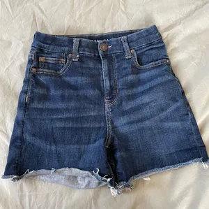 American Eagle Stretch Denim Shorts thumbnail 1