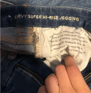 American Eagle  thumbnail 3