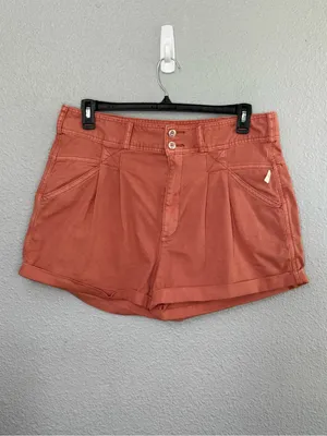 NWT Pilcro Relaxed Pleat Shorts in Sienna Size 32 High Rise thumbnail 3