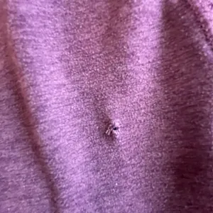 Beyond Yoga Leggings (flawed) thumbnail 5