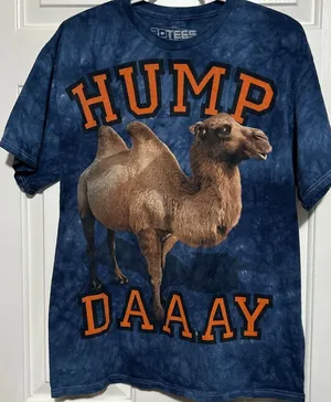 3D Tees by the Mountain Men's Blue Tie Dye Camel Hump Daaay T-Shirt Size L 42/44 thumbnail 1