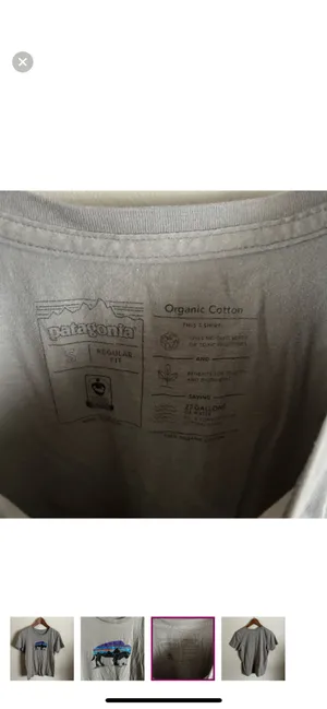 Patagonia | Buffalo 100% organic cotton regular fit gray graphic tee thumbnail 3