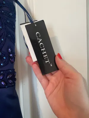 Cachet Formal Dress Gown thumbnail 3