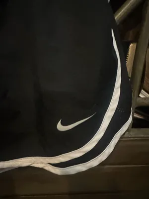 Nike Shorts thumbnail 3
