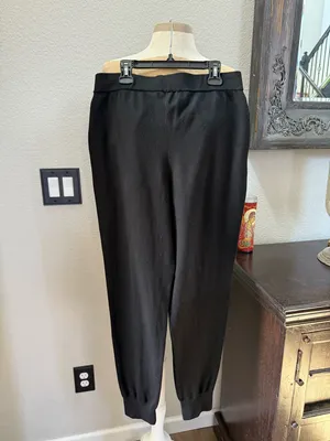 Aritzia Babaton Rodin joggers M thumbnail 5