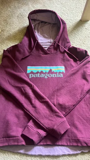 Uprisal Patagonia Hoodie thumbnail 1