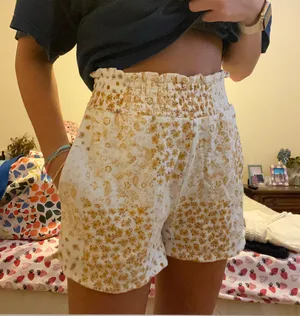 American Eagle Outfitters Soft Shorts thumbnail 1