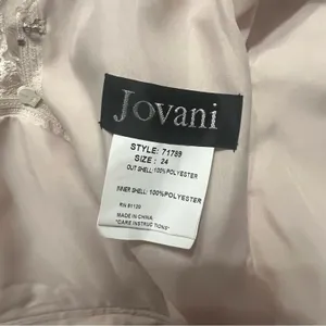 NWT‎ JOVANI EVENING 71789 lace rhinestone brooch waist gown thumbnail 7
