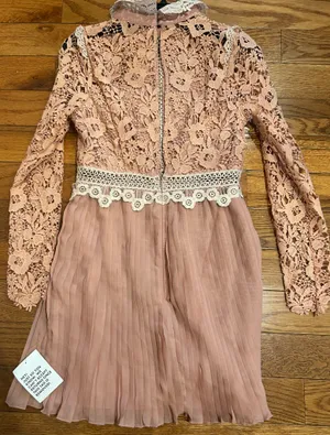 ASOS DESIGN rose Victorian-inspired Pleated Lace Dream Mini Dress 6 thumbnail 16