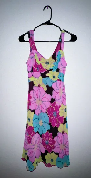Bisou Bisou Dress thumbnail 1
