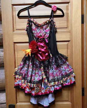 Valentines Day Womens Pink Skull Ribbon Lace Dress Size Medium Witchy Whimsygoth thumbnail 1