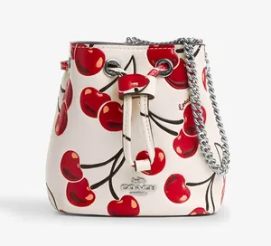 Coach Drawstring Wristlet With Cherry Print - Novelty Leather/Silver/Chalk Multi thumbnail 1
