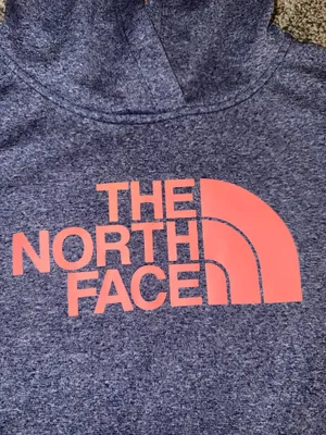 The North Face Fave Pullover Hoodie Women's, Grey with Pink Logo, Size M thumbnail 3