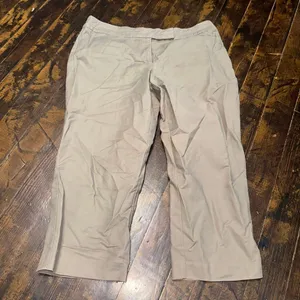 Ann Taylor tan curvy12 business casual normcore pants thumbnail 1