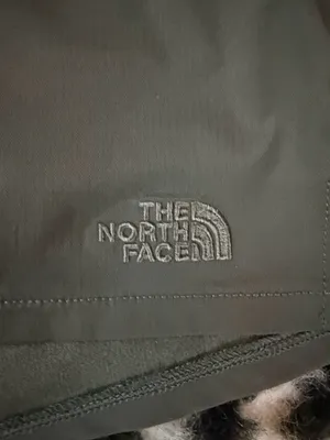 The North Face olive green shorts XL thumbnail 2