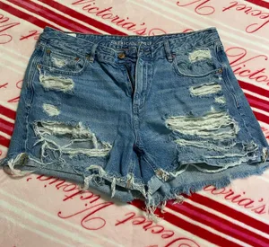 American Eagle Shorts thumbnail 1