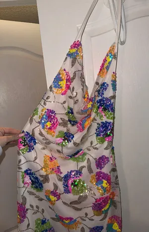 Sequin Dress Multiple thumbnail 2