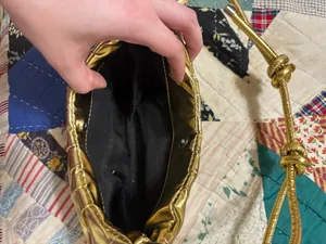 gold purse thumbnail 2