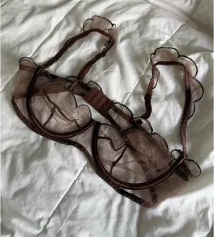 FashioNova Sheer Bra thumbnail 2